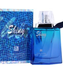 Shiny Perfume For Men (100ml)